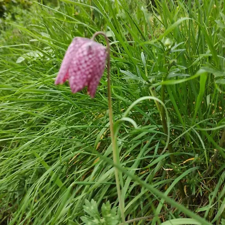 公寓 Angers Proche