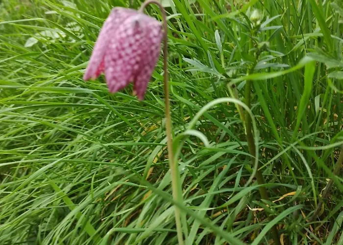 Apartament Angers Proche