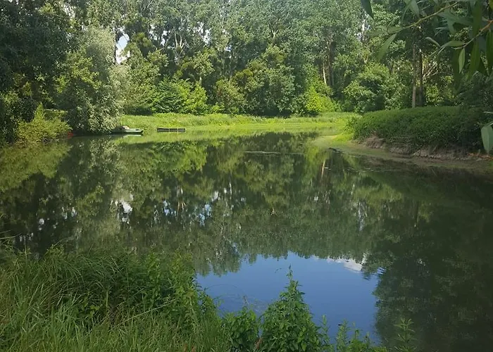 Angers Proche * Briollay